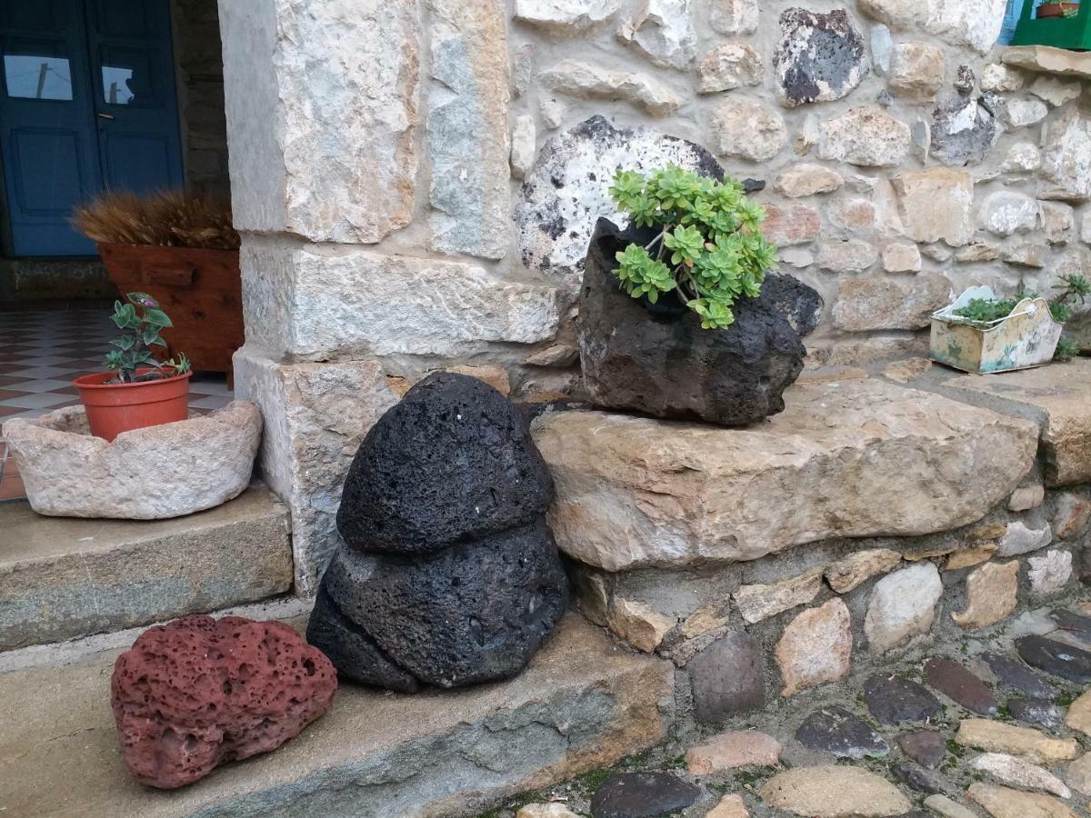 Sa Domu De Ziu Antoneddu Hotel Tuili Екстериор снимка